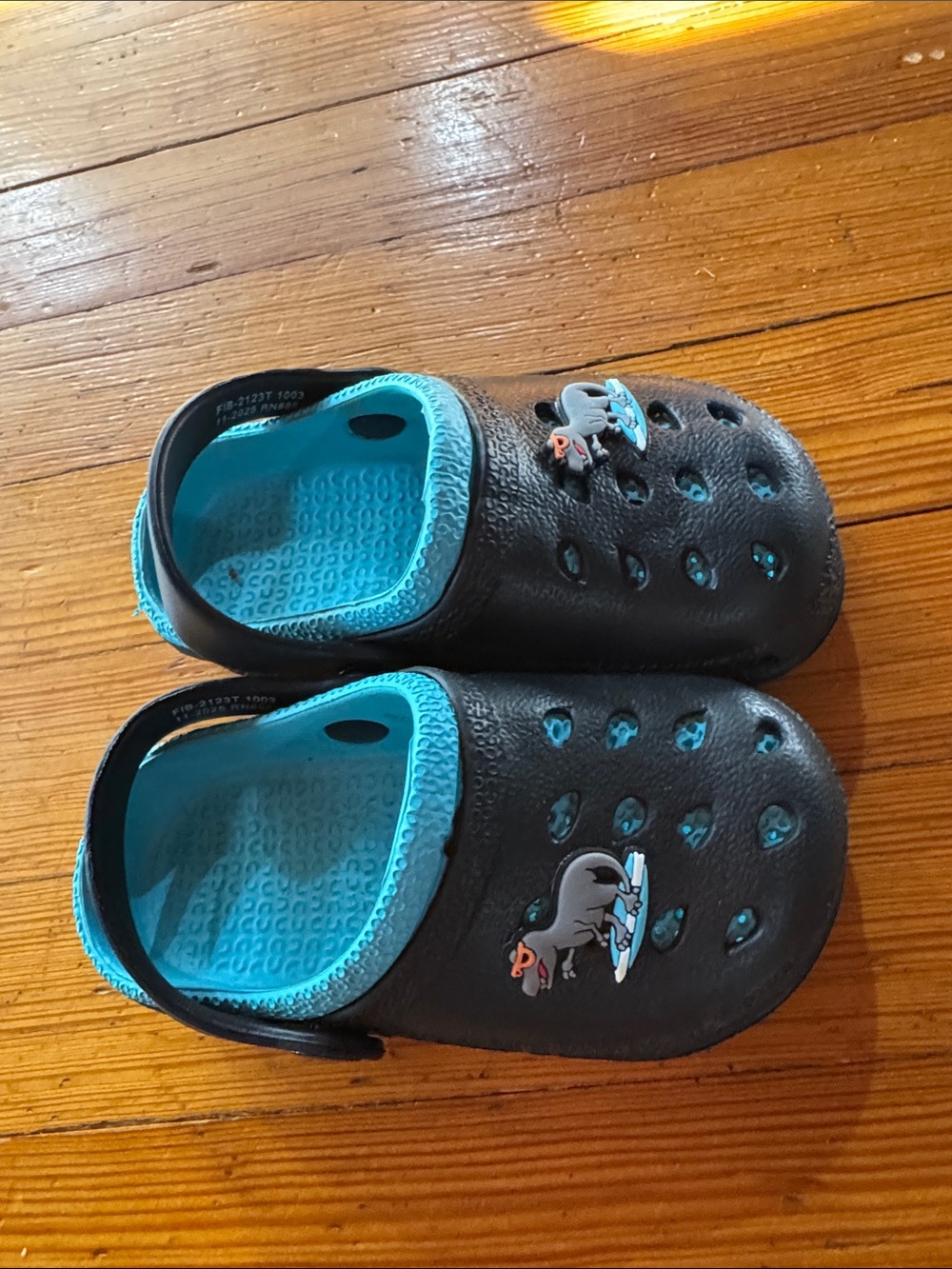 Capelli of New York Black Clogs with Teal Interior and Surf Dino stamp